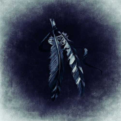 feather indian blue