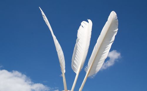 feather sky white