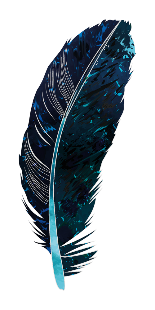 feather blue black