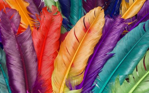 feather colors duvarkagıdı