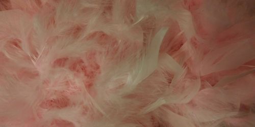 feather boa boa feathers