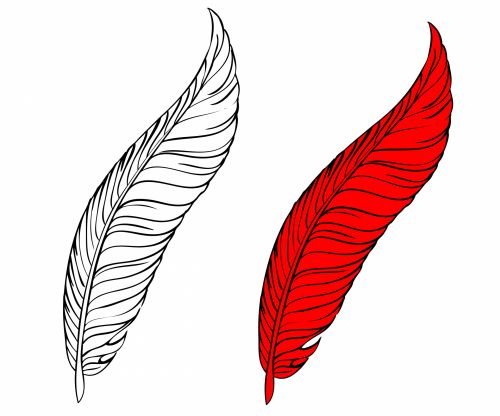 Feather Coloring Page For Kids