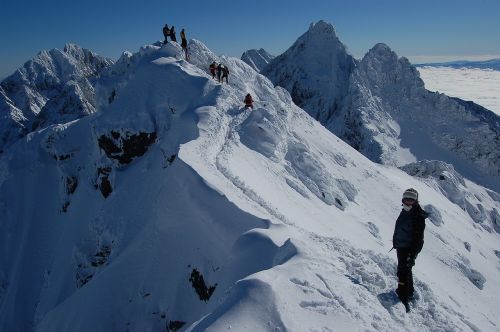 features the features of the face in the winter scratches tatras