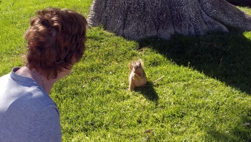 Feeding The Squirrel