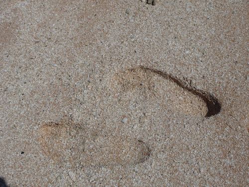 feet beach foot trail