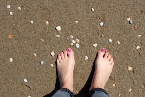 feet beach mussels