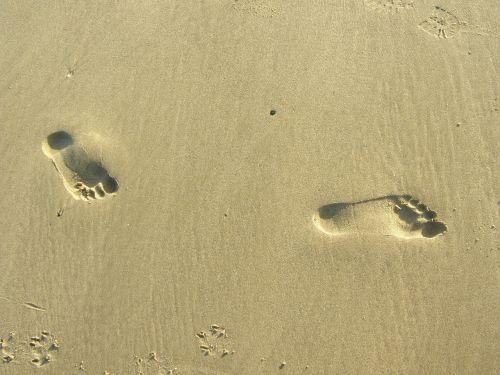 feet print footprint