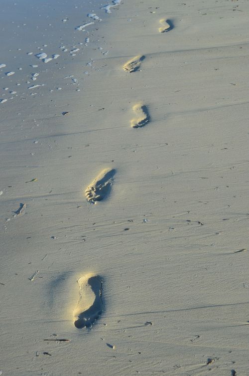 feet beach sea