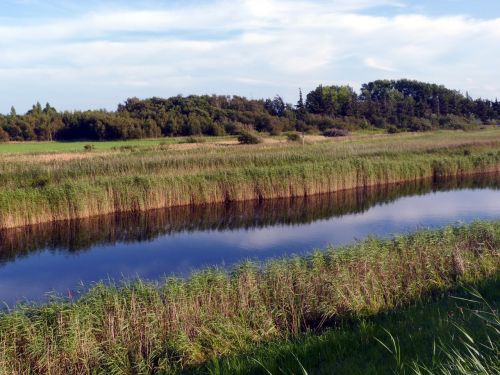 fehmarn wallnau evening light