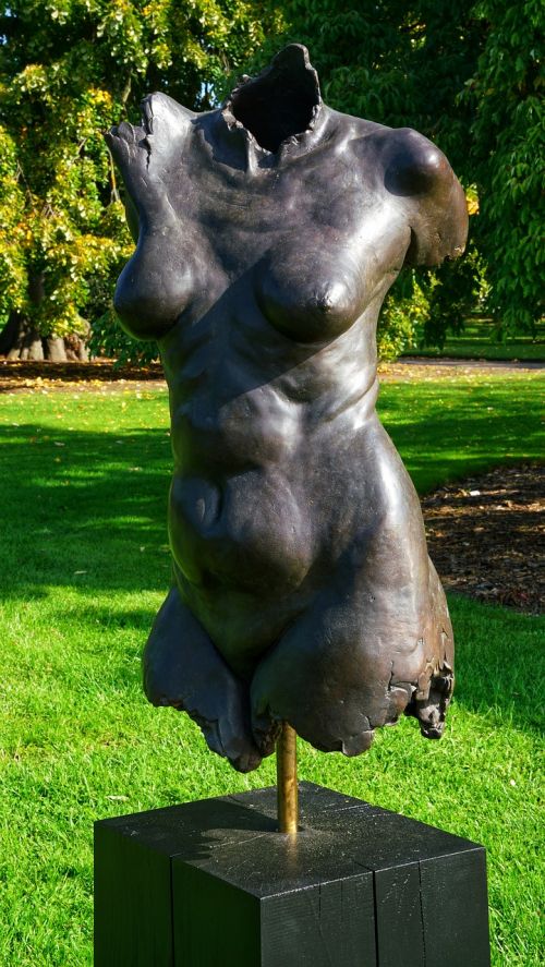 female woman torso