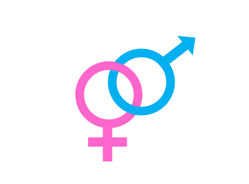 female  male  symbol