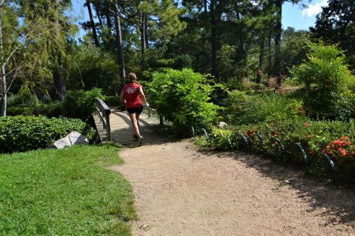 female jogger running green