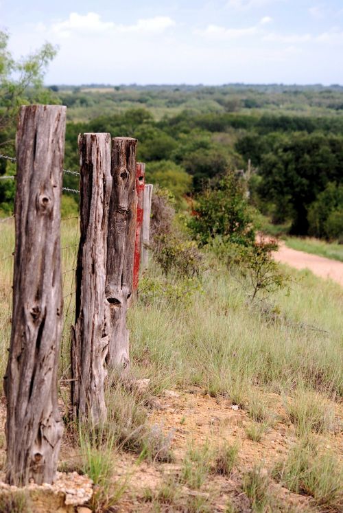 fence landscape texas