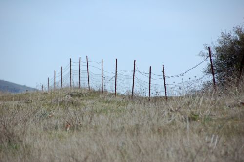 fence wire fence field fence