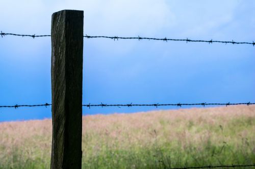 fence barbed wire pasture