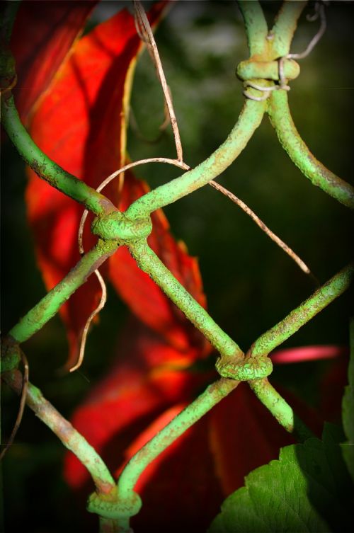 fence old red