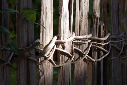 fence wood wattle