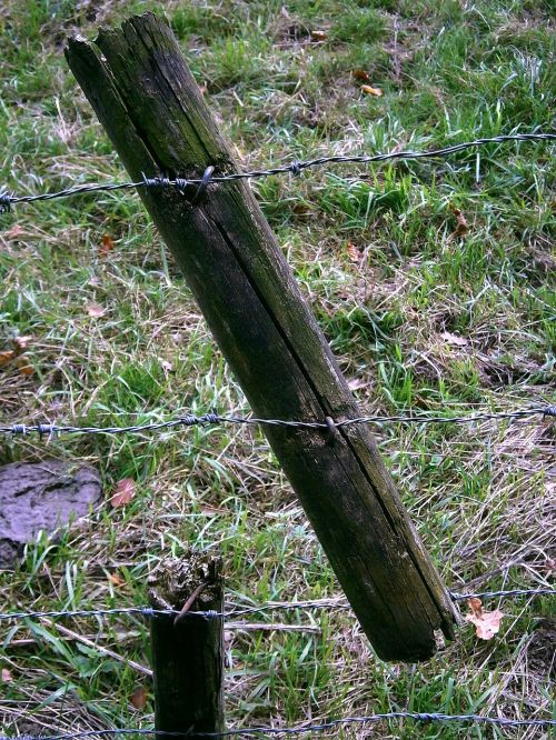 fence post wood