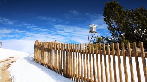 fence perch snow