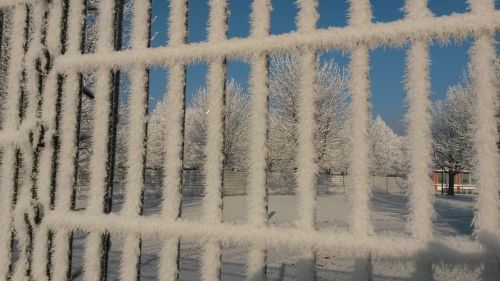 fence frost ice
