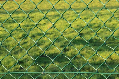 fence wire mesh fence green