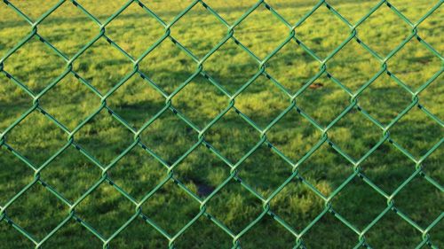 fence wire mesh fence green