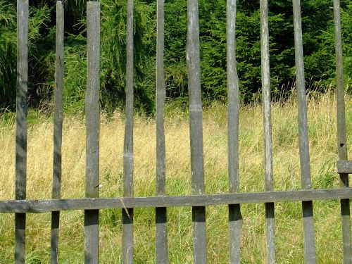 fence planks view