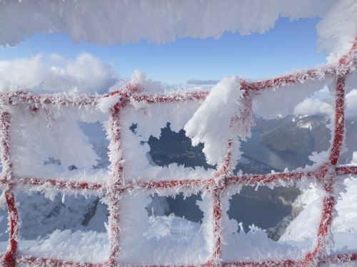 fence grid frost