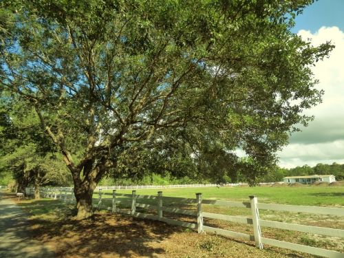 fence oak farm