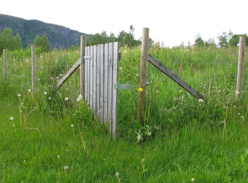 fence wood post