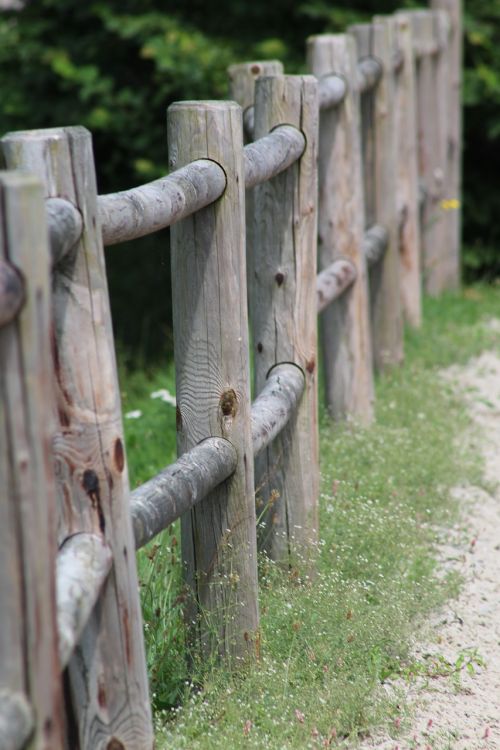 fence wood structure