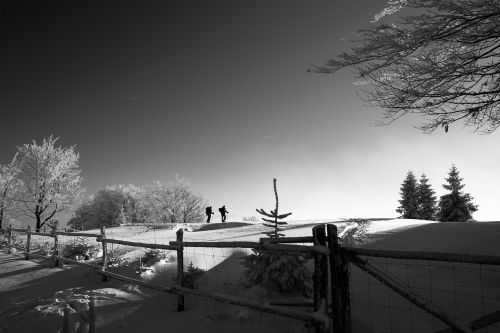 fence snow winter