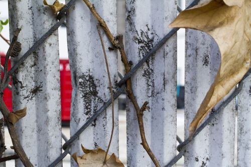 fence dirty rustic