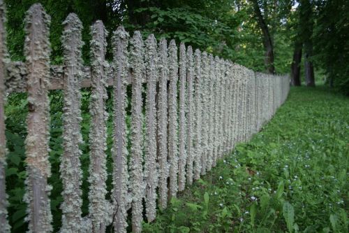 fence tree village