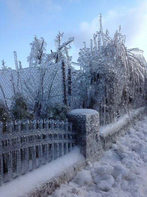 fence winter frozen
