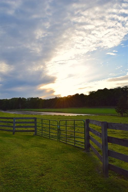 fence rural pasture