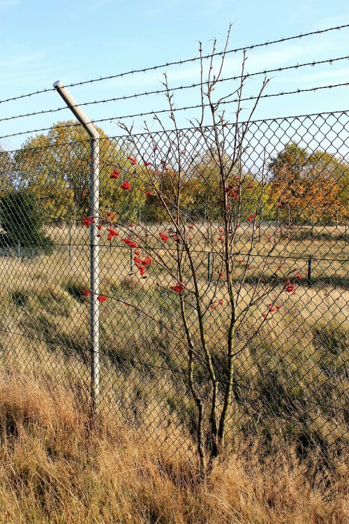 fence rocket base barbed wire