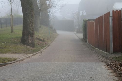 fence road tree