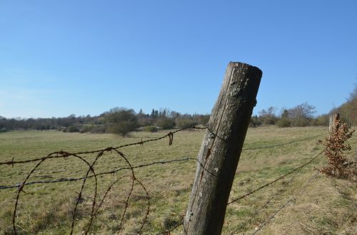 fence pasture stainless