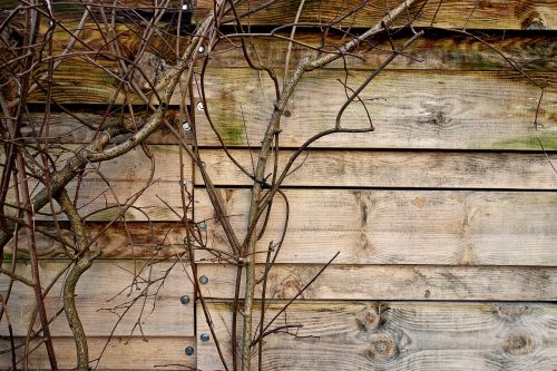 fence wooden fence planks