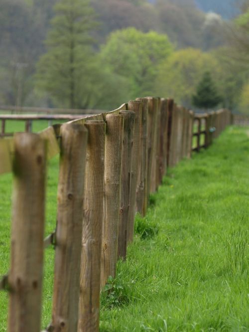 fence wood fence limit