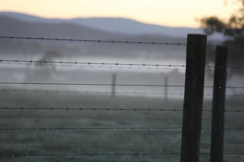 fence winter morning frost