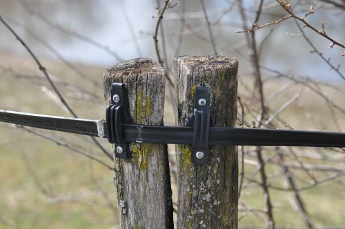 fence nature wire