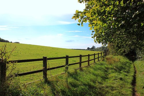fence  landscape  nature