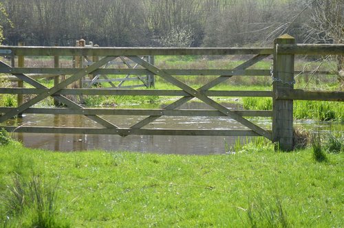 fence  grass  nature