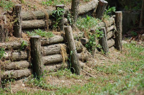 fence  picket fence  palisade