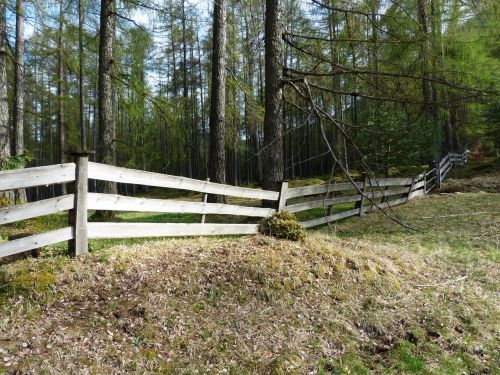 fence wood fence paling