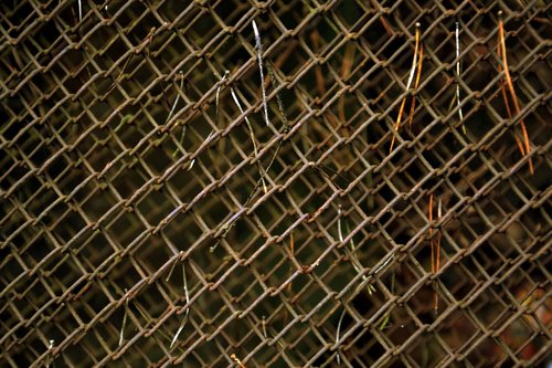 fence  netting  iron