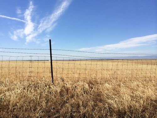 fence landscape field