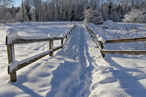 fence  winter  wintry